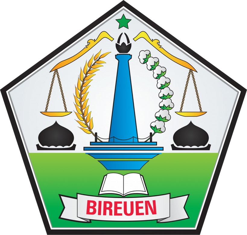 Logo Kabupaten Bireuen